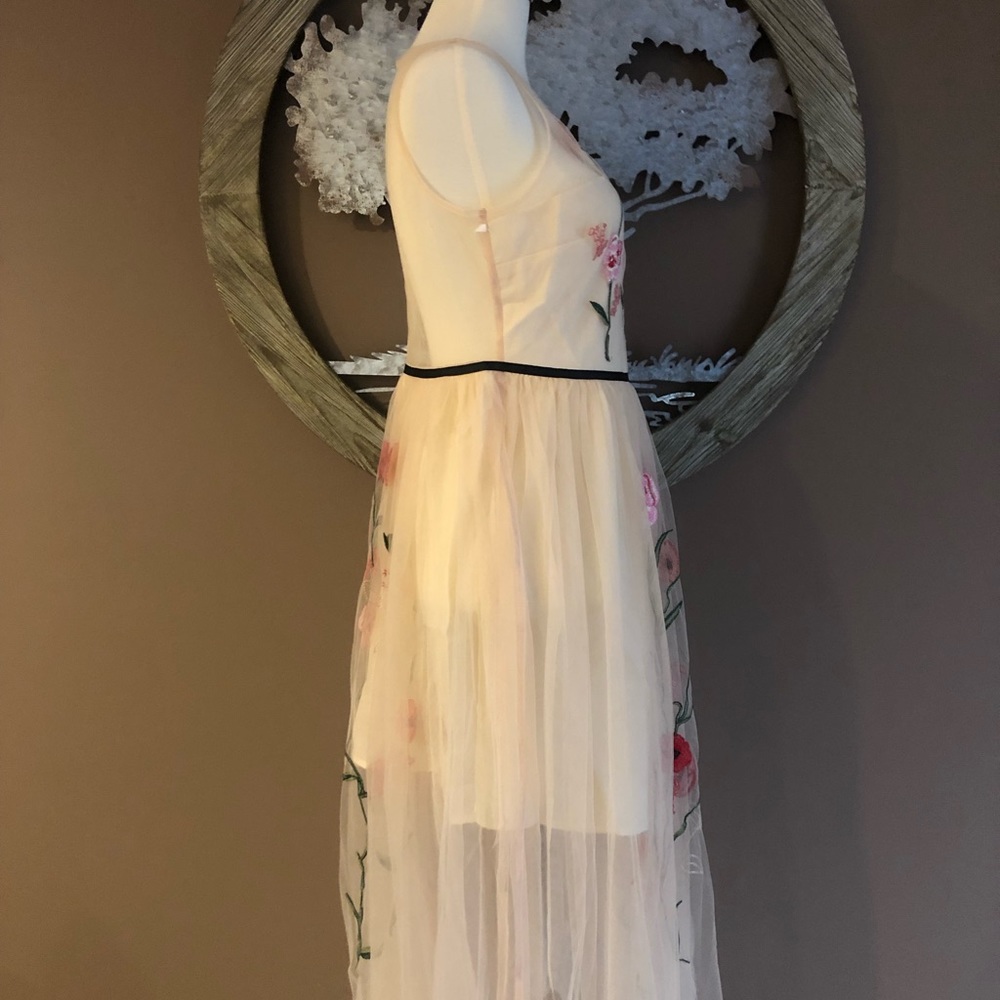 🆕Blush Floral Embroidered Dress 🌺 - Picture 4 of 5